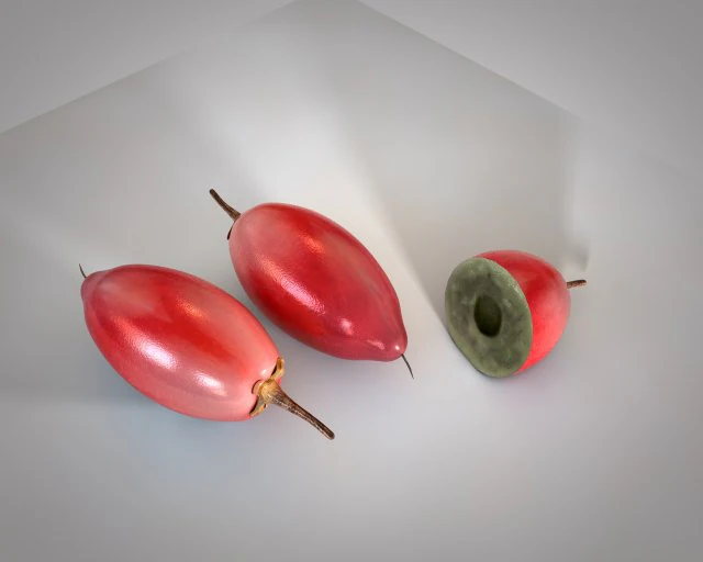 диво-плід 3D Модель .c4d .max .obj .3ds .fbx .stl .blend 