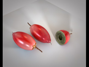 miracle fruit Modelo 3D