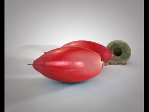 miracle fruit 3D Model