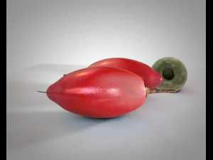 диво-плід 3D Модель