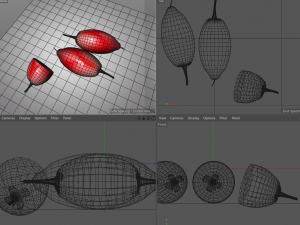 miracle fruit 3D Model