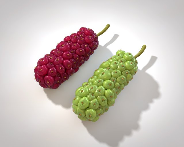 miracle fruit 3D Model .c4d .max .obj .3ds .fbx .stl .blend 