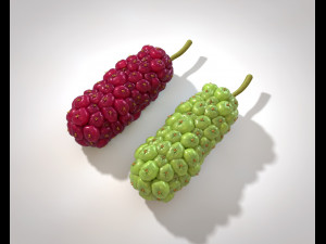 miracle fruit 3D Model