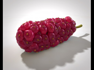 miracle fruit 3D Model