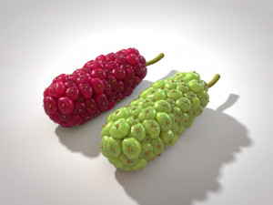 miracle fruit 3D Model