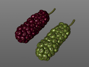 miracle fruit 3D Model