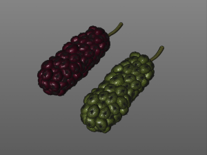 miracle fruit 3D Model