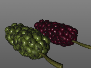 miracle fruit 3D Model