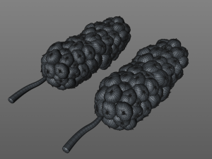 miracle fruit 3D Model