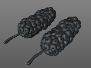 frutto miracoloso Modello 3D