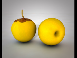 nance fruit 3D Model