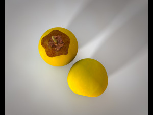 nance fruit 3D 모델