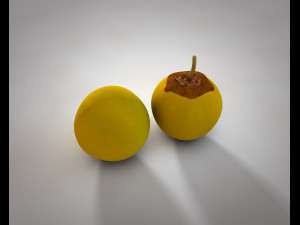 nance fruit 3D 모델