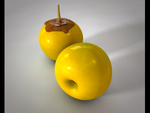 nance fruit 3D 모델