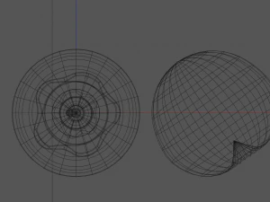nance fruit 3D Model