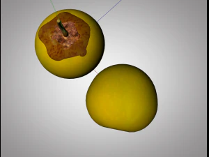 nance fruit 3D Model