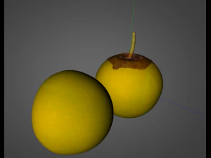 nance fruit 3D Model