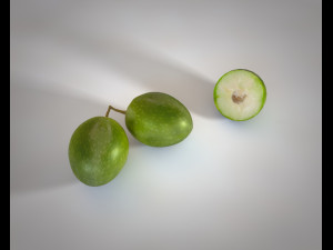 olive fruit 3D 模型