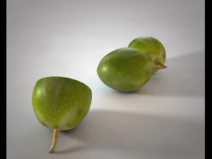 olive fruit 3D Model