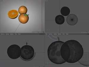 orange fruit 3D Model