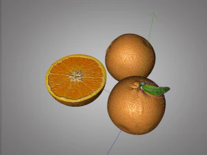 orange fruit 3D Model