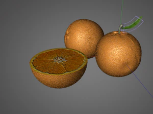 orange fruit 3D Model