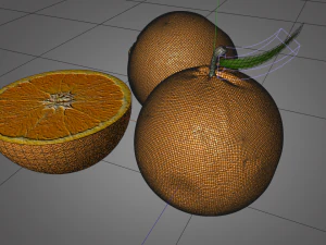 orange fruit 3D Model