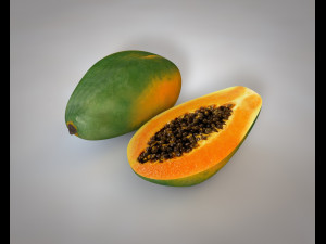 papaya fruit 3D 模型