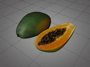 frutto della papaia Modello 3D