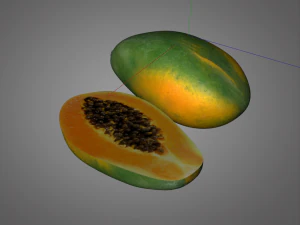 frutto della papaia Modello 3D