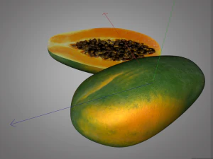 frutto della papaia Modello 3D