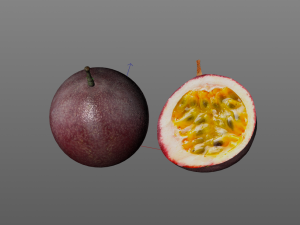 passion fruit Modello 3D
