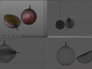 passion fruit Modello 3D