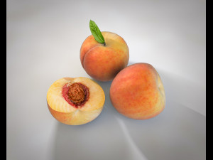peach fruit 3D 模型