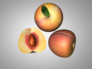 peach fruit 3D Model