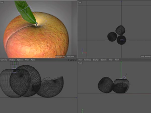 frutto di pesca Modello 3D