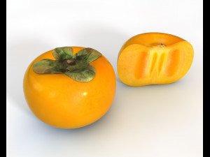 persimmon fruit 3D Model