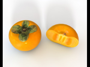 persimmon fruit Model 3D