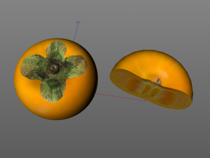 persimmon fruit Model 3D