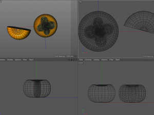 persimmon fruit Model 3D