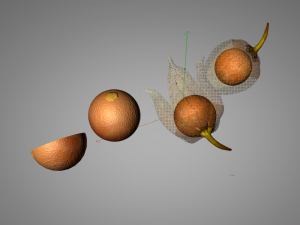 physalis fruit 3D 모델