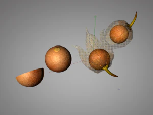 물리 과일 3D 모델