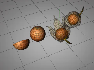 물리 과일 3D 모델