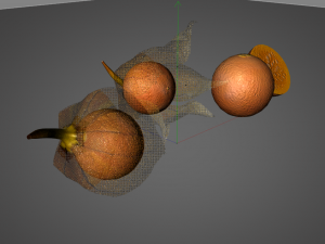 physalis fruit 3D 모델