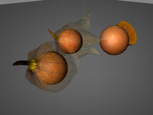 물리 과일 3D 모델