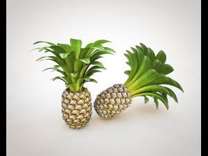 pine apple fruit 3D Model