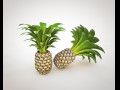 Pine Apple Fruit 3D-Modell