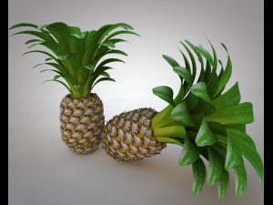 pine apple fruit 3D 模型