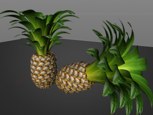 pine apple fruit 3D 模型
