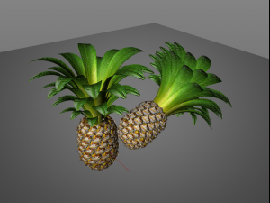 pine apple fruit 3D 模型